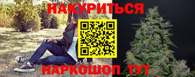 гашик Кимры