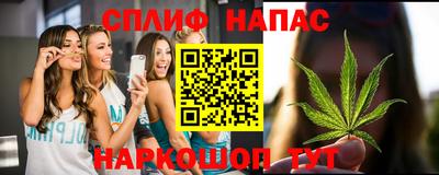 гашик Кимры