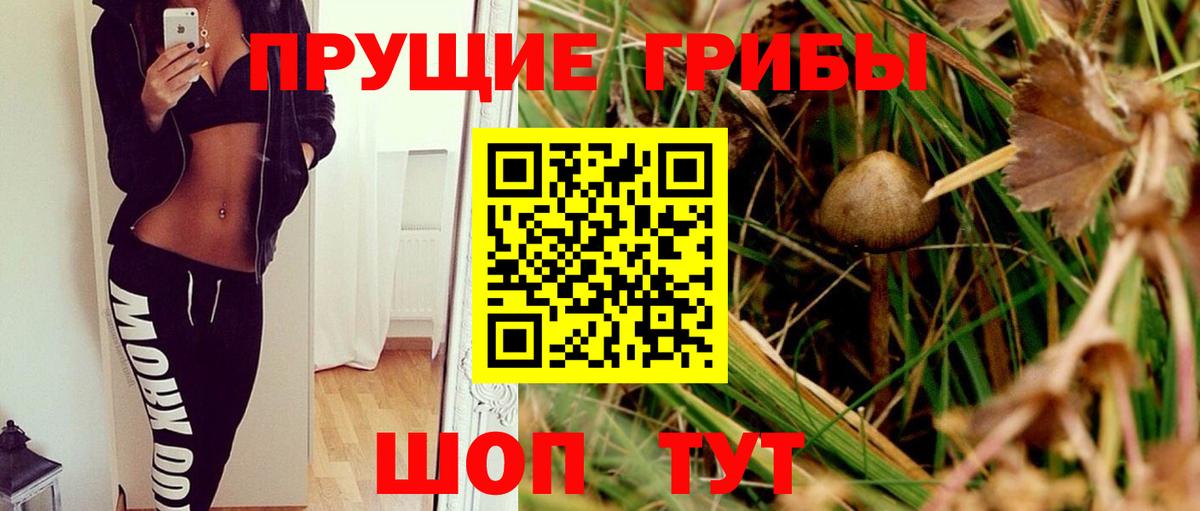 Галлюциногенные грибы мухоморы Красноуфимск