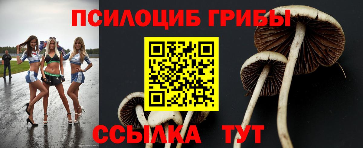 Красноуфимск  Псилоцибиновые грибы мицелий  купить  сайты  Вход с VPN 